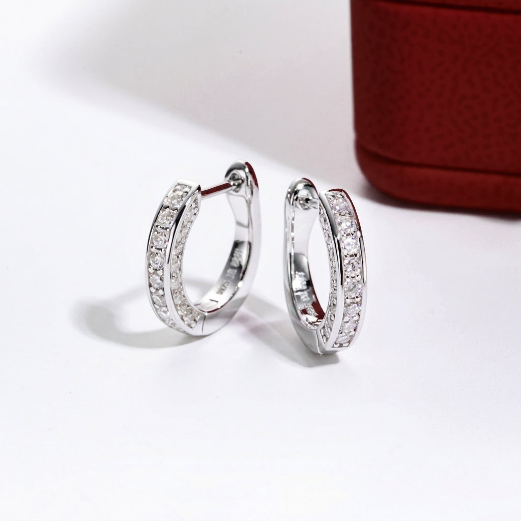 Luxe Cercle Moissanite Earrings