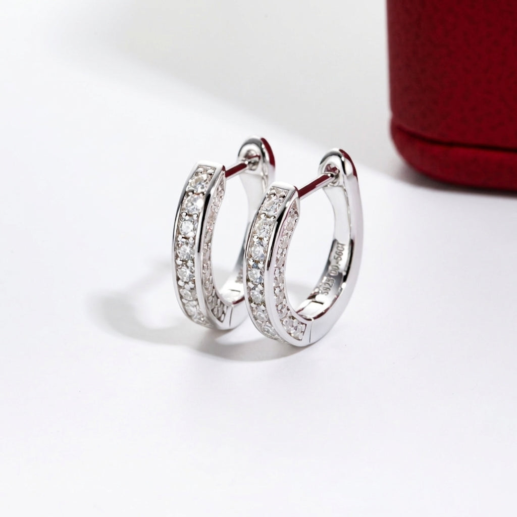 Luxe Cercle Moissanite Earrings